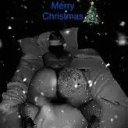 Albany Female Escorts