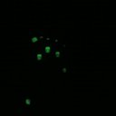 Chicago Female Escorts