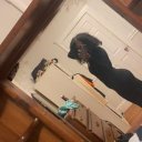 Boston Female Escorts