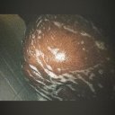 Chesapeake Female Escorts