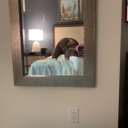 South Bend Female Escorts