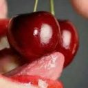 Jacksonville Female Escorts