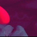 South Jersey Female Escorts