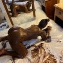 Boise Female Escorts