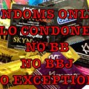 Long Island Female Escorts