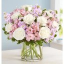 Raleigh Female Escorts