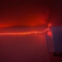 Dayton Female Escorts