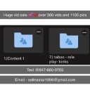 Lawrence Female Escorts