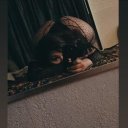 Concord Female Escorts