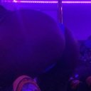 Bloomington Female Escorts