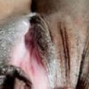 Allentown Female Escorts