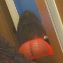 San Francisco Female Escorts