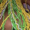 West Palm Beach Female Escorts