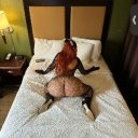 Provo Female Escorts