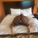 San Francisco Female Escorts