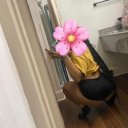 Baton Rouge Female Escorts