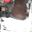 Evansville Female Escorts