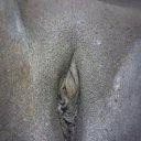 Tri-Cities Female Escorts