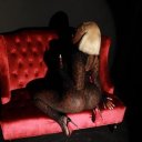 Mankato Female Escorts