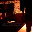 Austin Female Escorts