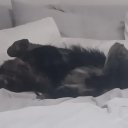 Mohave County Female Escorts