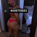 Baltimore Female Escorts