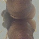 South Coast Female Escorts