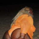 Portsmouth Female Escorts