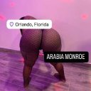 Daytona Female Escorts