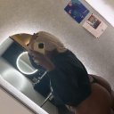 Boulder Female Escorts