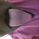 Mankato Female Escorts