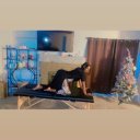 Stockton Female Escorts