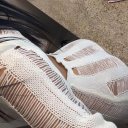 Sarasota Female Escorts