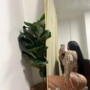 Westchester Female Escorts