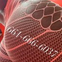 Bakersfield Female Escorts