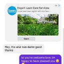 Greenville Female Escorts