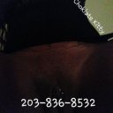 Bridgeport Female Escorts