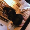 North Bay Female Escorts