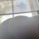 Washington Female Escorts