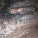 Wilmington Female Escorts