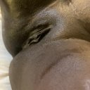 Norfolk Female Escorts