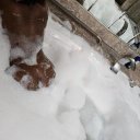 Syracuse Female Escorts