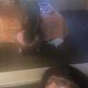 Sheboygan Female Escorts