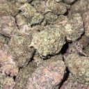 Monroe Female Escorts