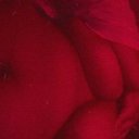 Memphis Female Escorts