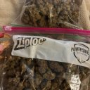 San Marcos Female Escorts