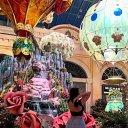 St. George Female Escorts