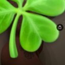 Atlanta Female Escorts