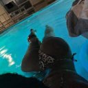 Brooklyn Female Escorts