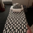 Lexington Female Escorts